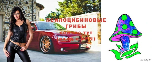 бутират Бородино