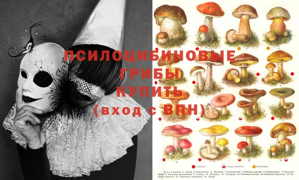 экстази Бронницы